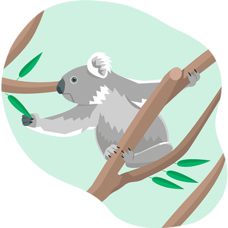 illustration of a koala reaching for eucalyptus leaves
