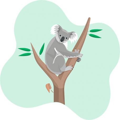 illustration of a koala in the middle of two tree branches